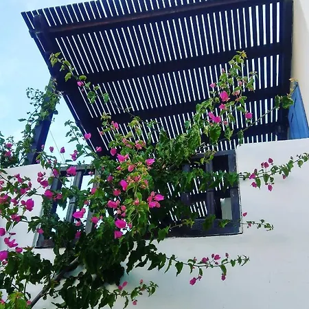 Chora Place